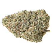 Knockout [28g Traditional Flower] by Pure Sunfarms