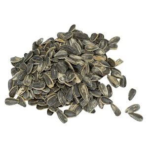 AstroNutz - Salt and Black Pepper Sunnies 50g Savory Snacks