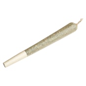 Terp Town Collective - Sherbhead Pre-Roll - 1x1g