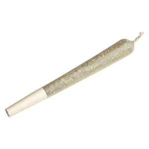 Terp Town Collective - Sherbhead 1 x 1g Pre-Roll
