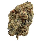 Sweet Island Skunk [28g Traditional Flower] by Versus
