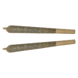 XPLOR - XPLOR - Funky Monkey Pre-Roll