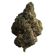 Tropicana Cookies [14g Craft Flower] by The Loud Plug