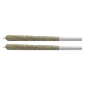 HALO Mintz & Powzer RNTZ [2x0.7g Pre-Rolls] by EVR J's