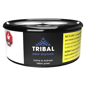 Tribal - Drip Station 3.5g Dried Flower
