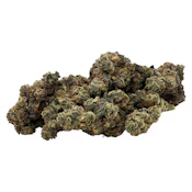 Meringue #84 [3.5g Craft Flower] by BONFIRE*