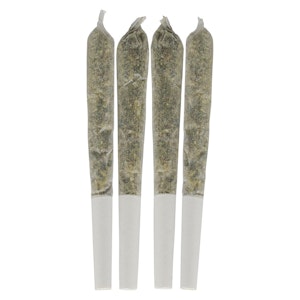 Dime Bag - Tropical Pocket Puffs Pre-Roll 4x0.5g Pre-Rolls