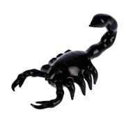 Glass Animal pipe- Scorpion