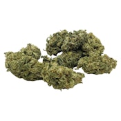Space Race Mission Control 7g Indica