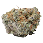 Tangerine Dream [7g Craft Flower] by Choice Growers