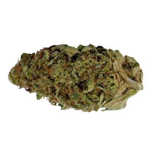 HEXO OPERATIONS INC. - OS.INDICA 14g Dried Flower
