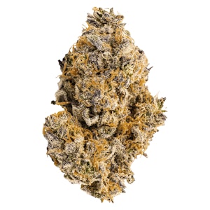 Vacay - Tropicali- Vacay