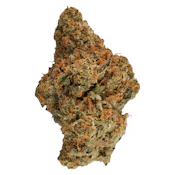 Headbanger [7g Traditional Flower] by Canaca