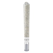 HORCHATA ULTRA MAX INFUSED PRE-ROLL - 1x1g - Balanced