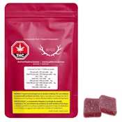 Raspberry Real Fruit Soft Chews (2 Pack)
