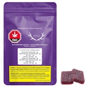 Marionberry Real Fruit Soft Chews (2 Pack)