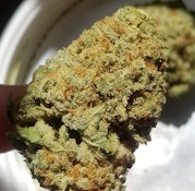 Good Supply Sweet Berry Kush - 28g Whole Bud