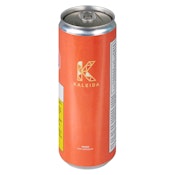 Kaleida Beverages Orange