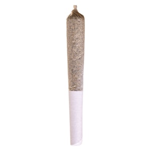 Station House - Sativa 3 x 0.5g Infused Pre-Roll