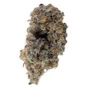 GovernMint Oasis2 3.5g