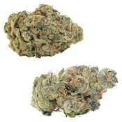 GMO Cookies + Ultra Sour [28g Traditional Flower] by Big Bag O' Buds