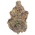 Sherbquake 3.5g Dried Flower