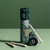 Kush God 10 x 0.3g Pre-Rolls