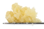 Crescendo Live Resin 1g