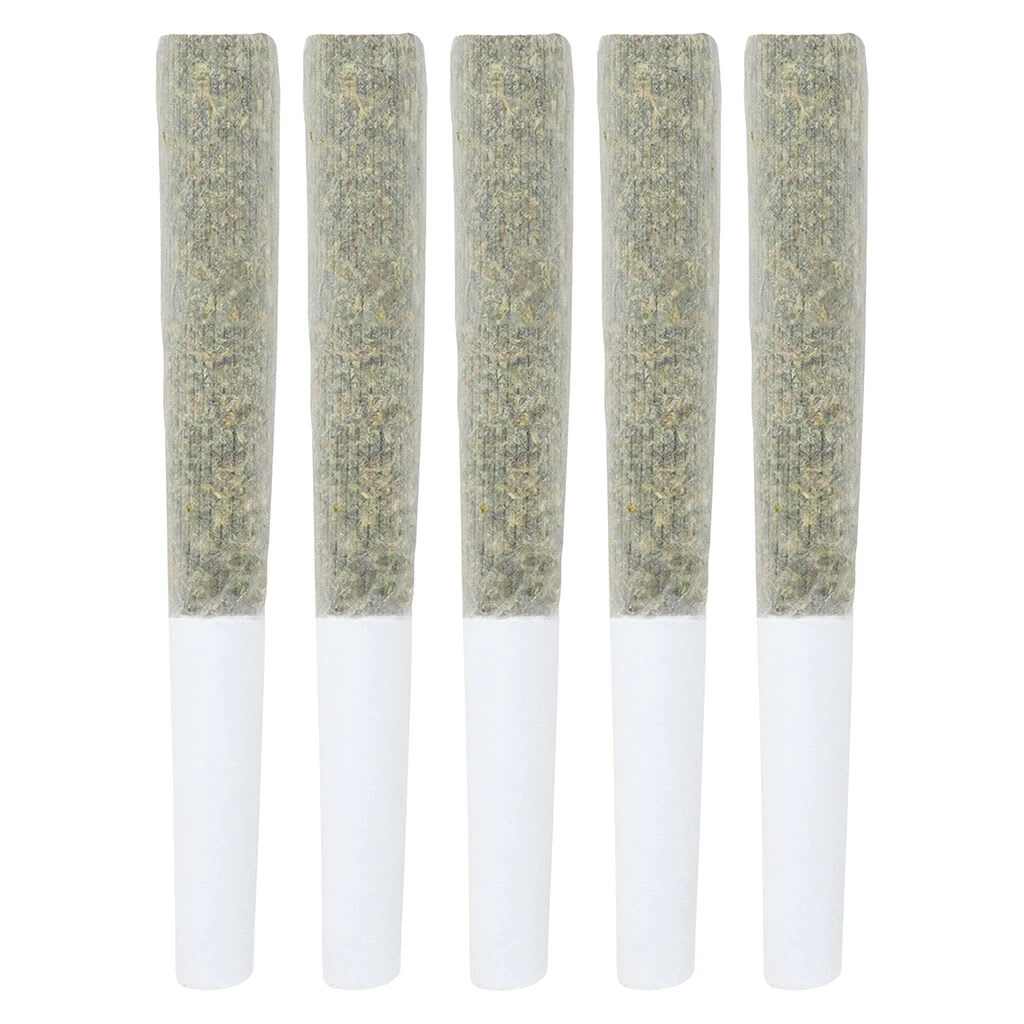 Crooked Dory - Jealousy x LPC75 (AAA+ Indica) (5 x 0.5g) Main Image