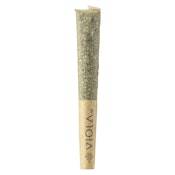 Viola - Bucketz Loosies - Sativa -10x0.3g