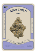 STAR CHILD - 7g| Rest