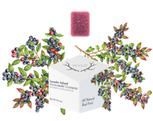 Wyld Real Fruit Huckleberry 2 x 4g Soft Chews