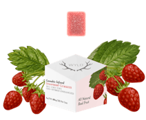 Wyld Real Fruit Strawberry 20:1 CBD 10 x 4g Soft Chews