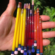Pencil Dabber - Assorted Colours - Large