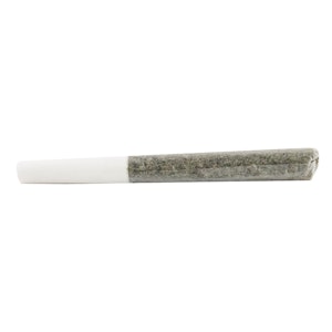 5 Points Cannabis - Assorted Multi Pack Pre-Roll - 12 Pack