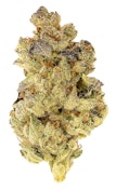 Mosa Orange Punch | 3.5g