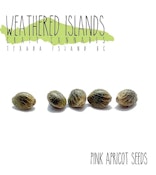 Weathered Island - Pink Apricot Seeds (5)