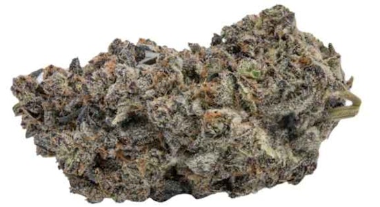 Kootenay Quantum - KQ CHAKRA CHRON - 7