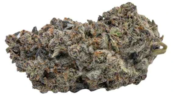 Kootenay Quantum - KQ CHAKRA CHRON - 7 Main Image