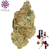 AI '96 (Blackberry Breath) [3.5g Craft Flower] by Viola