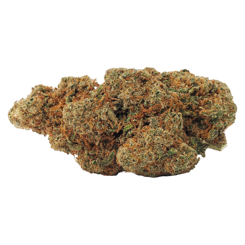 BOLD - BOLD Limited Cultivar 7g Dried Flower Main Image