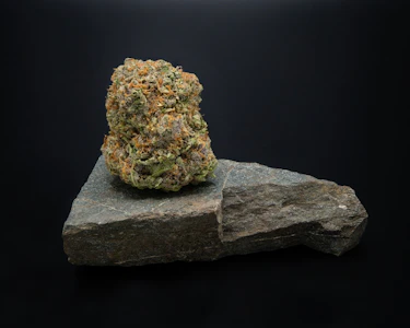 Kootenay Quantum - KQ JAGER - 7