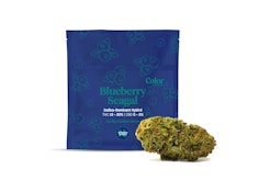 Blueberry Seagal 7g Dried Flower