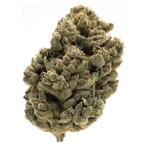 MTL Cannabis - Jungl' Cake 3.5g Dried Flower