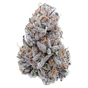 Hybrid 14g Dried Flower