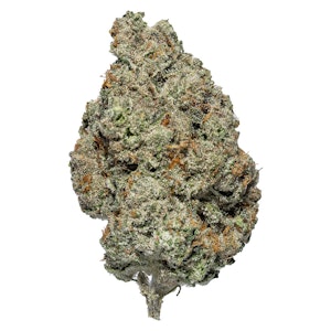 Carmel - Flamingo - Carmel