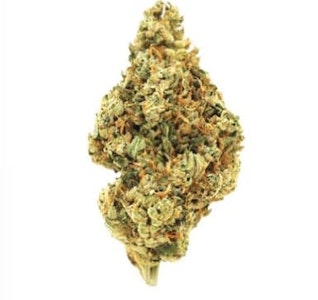 Choklit Park - 3.5G - HAWAIIAN SNOW