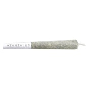 Tantalus  More CowBell PreRolls - 10x 0.5g