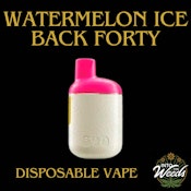 Watermelon Ice Disposable Pen - 0.95g