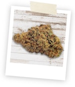 Coastal Sage 7g Dried Flower